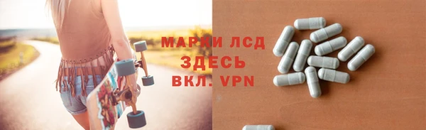прущие грибы Армянск