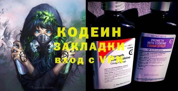 прущие грибы Армянск