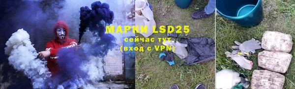 прущие грибы Армянск