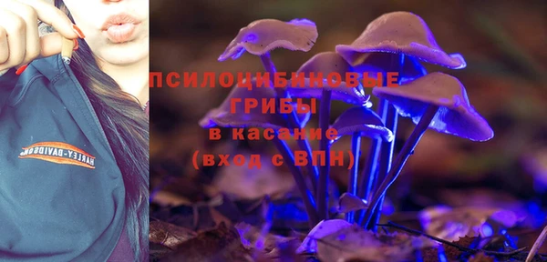 прущие грибы Армянск