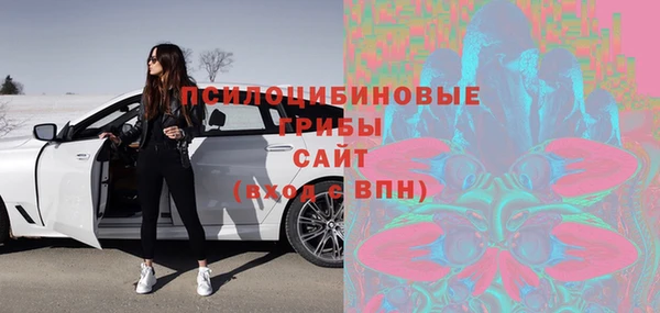 гашик Аркадак