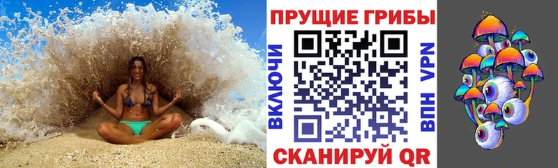 что такое наркотик  Прохладный  Псилоцибиновые грибы Psilocybine cubensis 